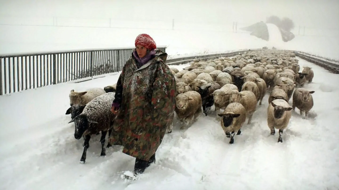 Winter-Nomads-1