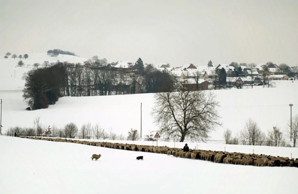 Winter-Nomads-3