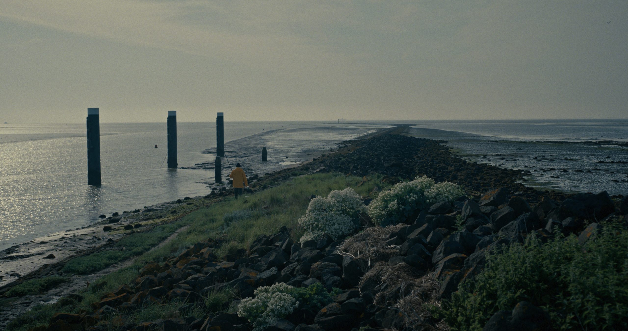 Vastelander_Stills_NFF_1.23.1