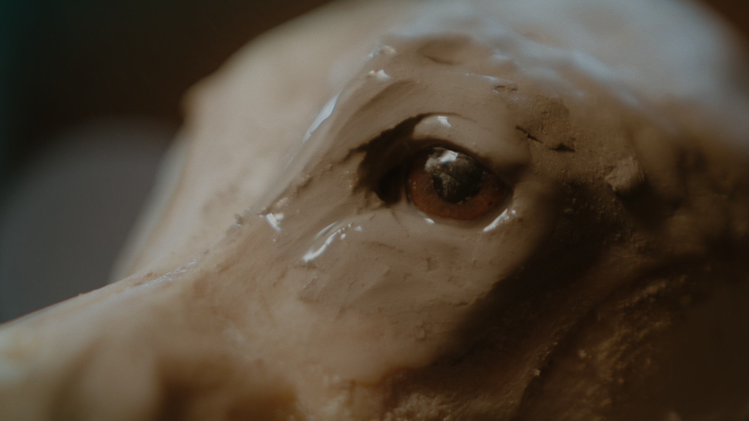 Met-huid-en-haar-still-1