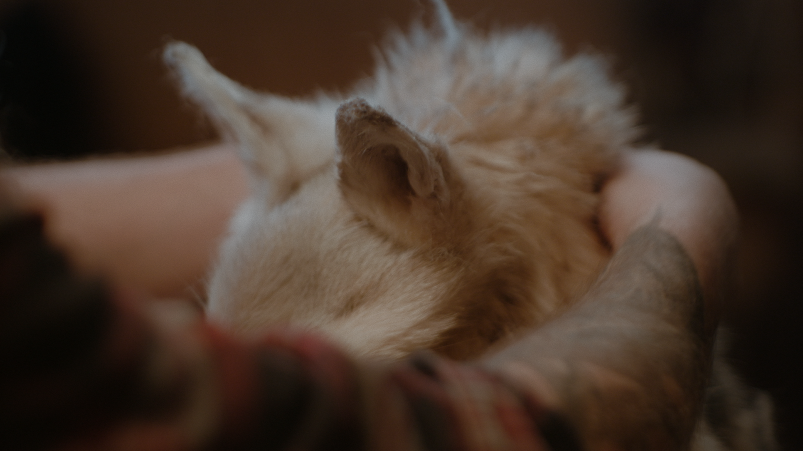 Met-huid-en-haar-still-2