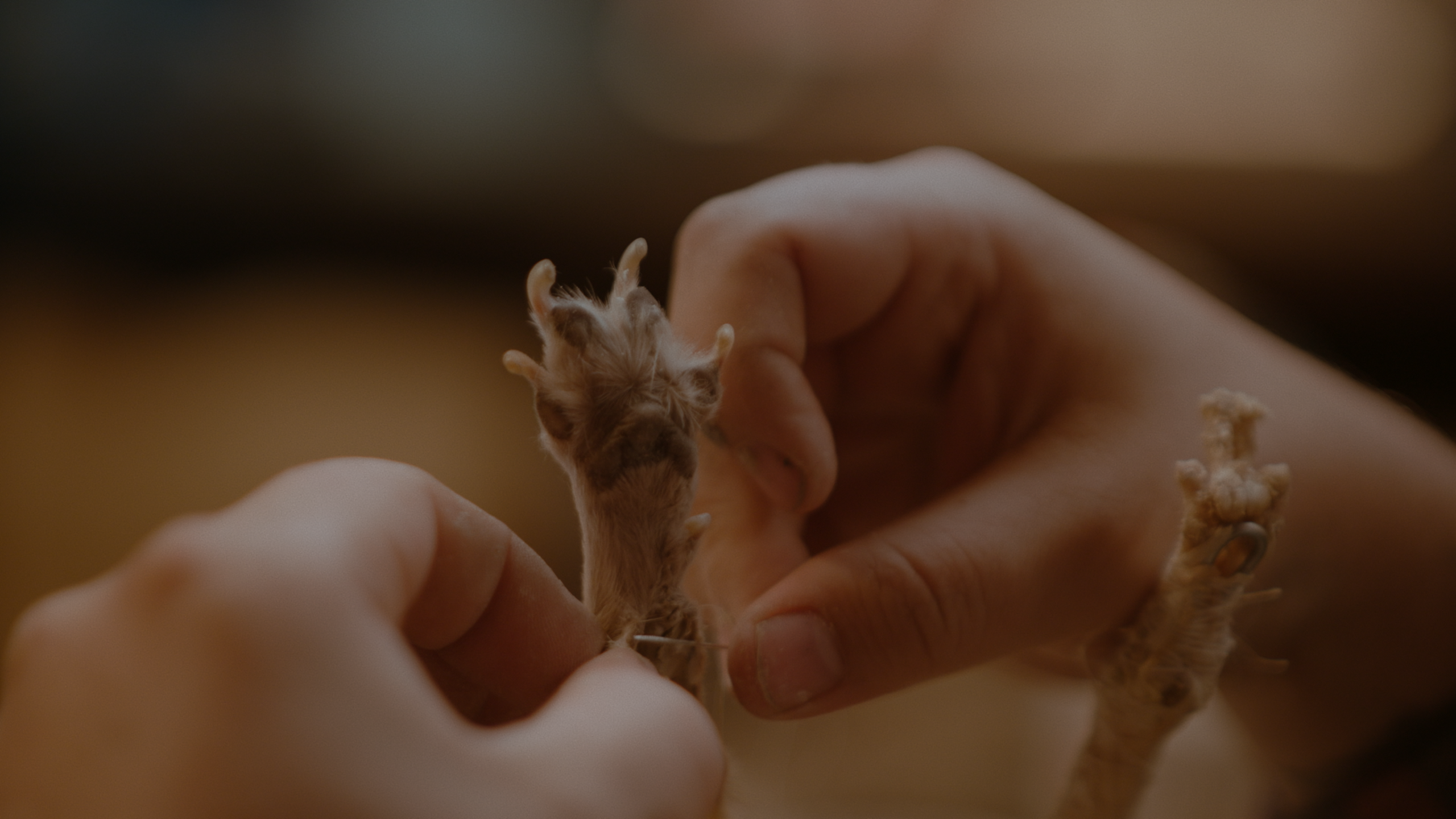 Met-huid-en-haar-still-4