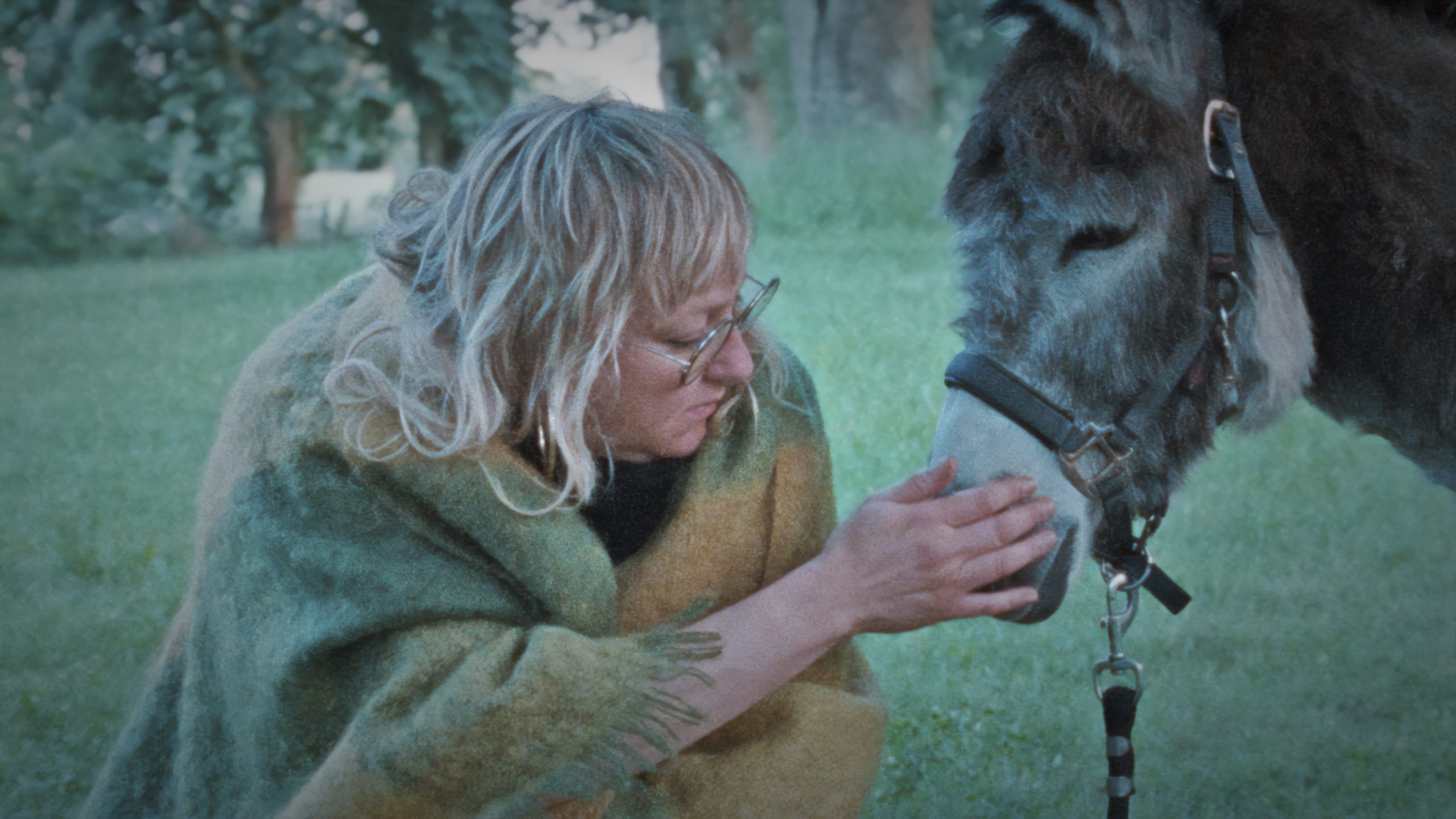 Donkey-Days_st_2_jpg_sd-high